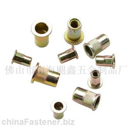 佛山市南海颶鑫五金制品廠(chǎng) 標(biāo)準(zhǔn)件鉚螺母的卓越制造