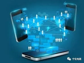 天貓平臺(tái)品牌號(hào)運(yùn)營主體變更規(guī)則解析 電商生態(tài)治理的深化與賦能